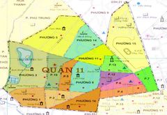 Học lái xe ô tô Quận 11